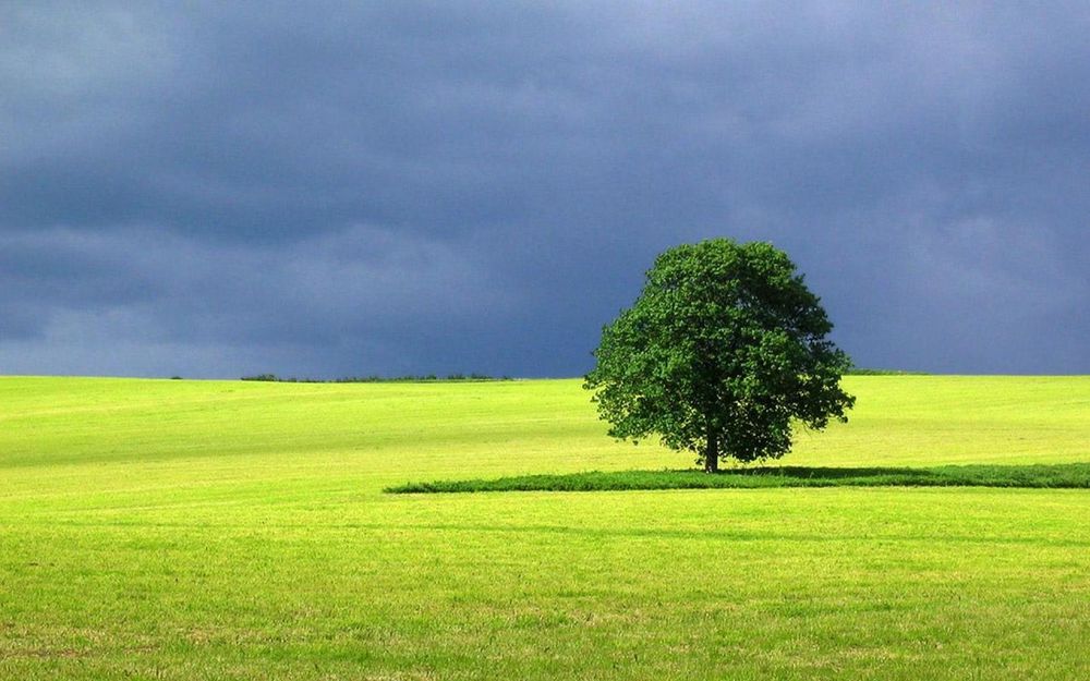 Один стоял я одиноко