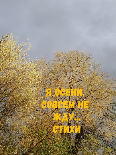 Я осени совсем не жду...