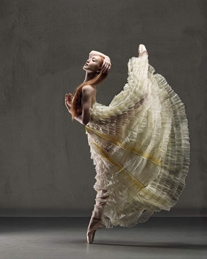 Из цикла Медведь ищет ПА РО ЧКУ 21