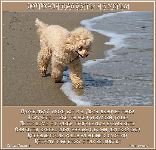 Долгожданная встреча с морем