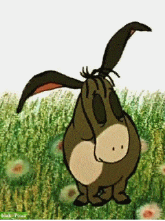 Дурень - осёл