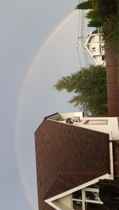 Питер. Август. 2020