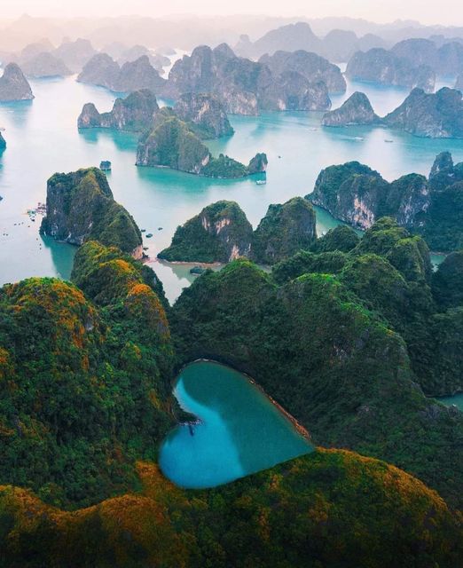 Жизнь продолжается