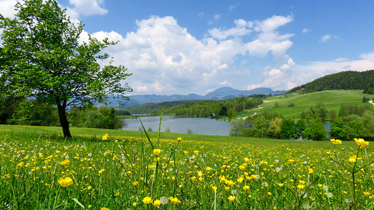 https://stihi.ru/pics/2020/08/27/2390.jpg