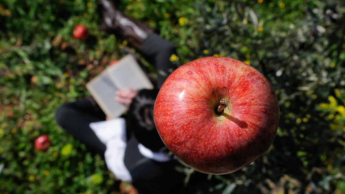 Адам, яблоко и поэт