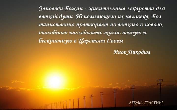 прости грехи стихи