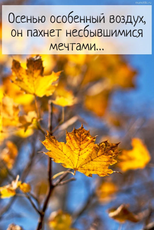 Осень пахнет дождём...