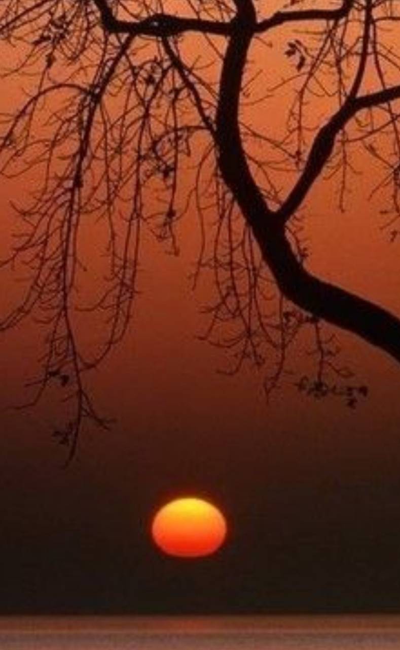И умирало ярким воплем солнце...