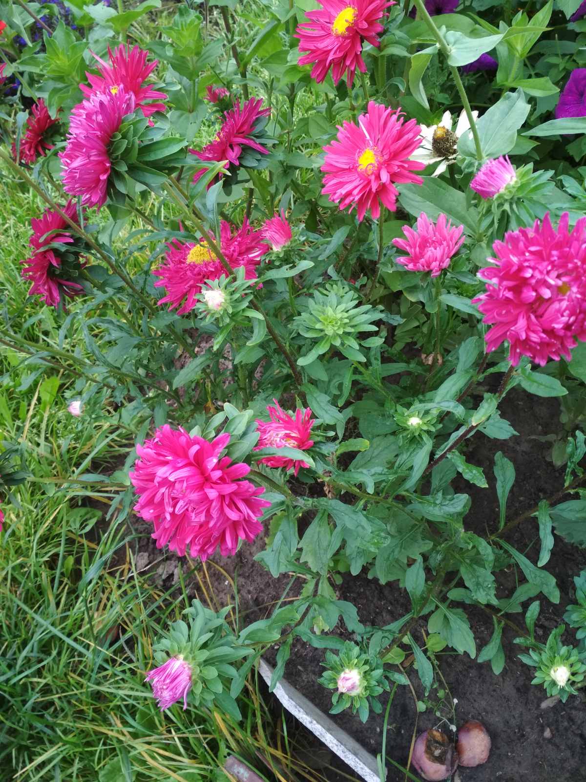 Приметы августа