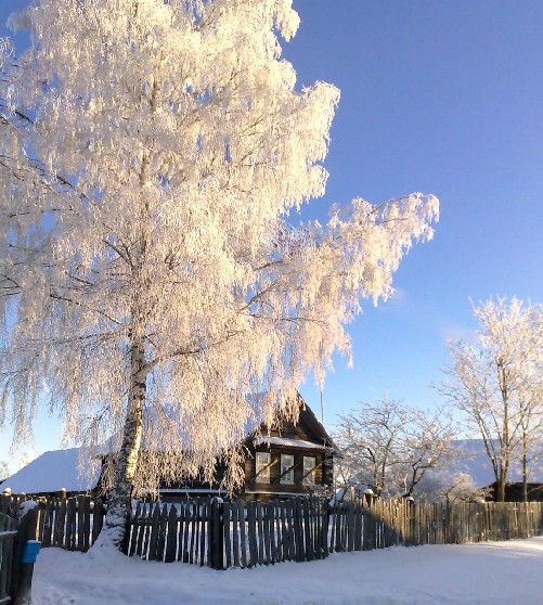 Пьяница-злодейка