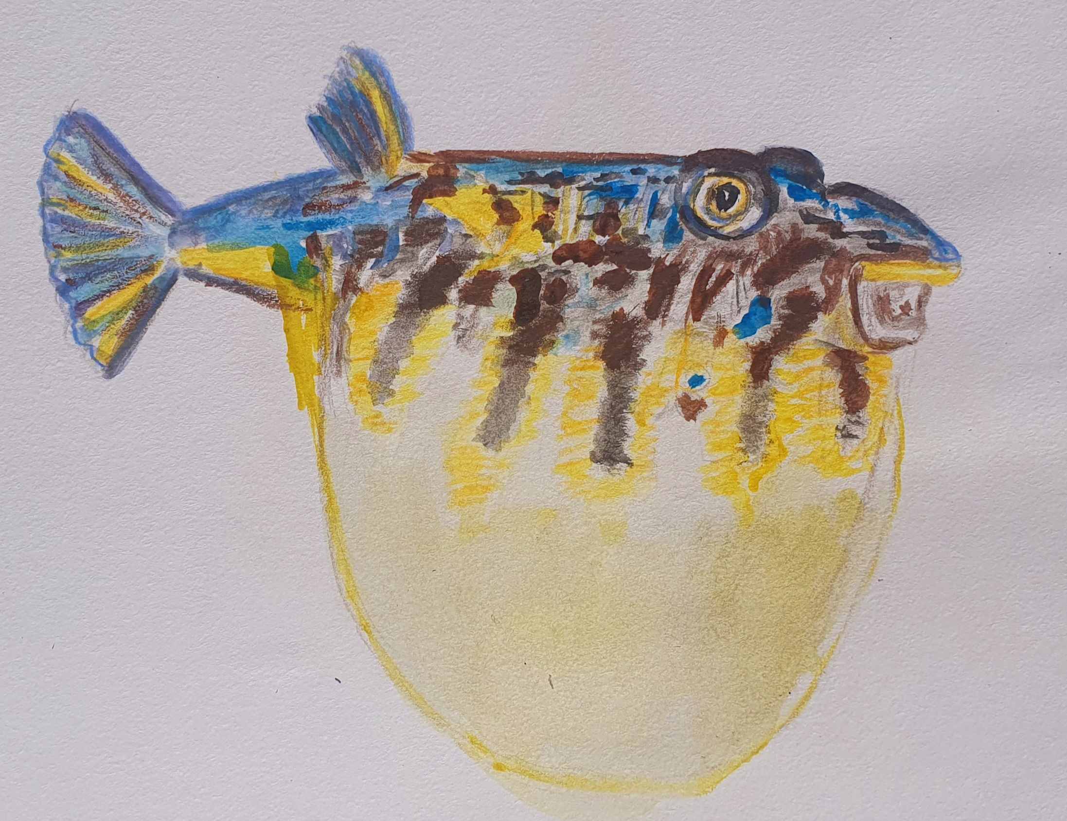 Фугу-опаснейшая