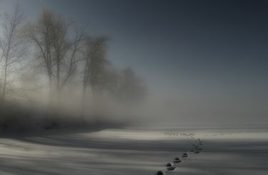 Зимний сон Ладомир Михайлов