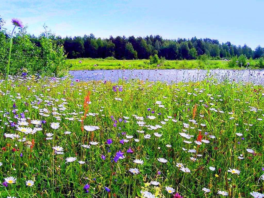 Прогулка в лето...