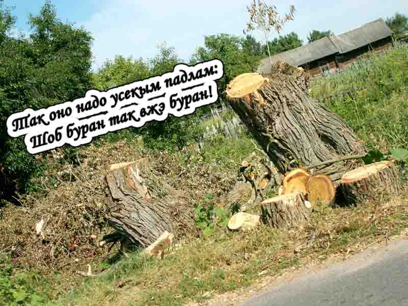 3 да 0 будэ ж сёмга