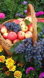 Благодатный август в лесу и в саду..