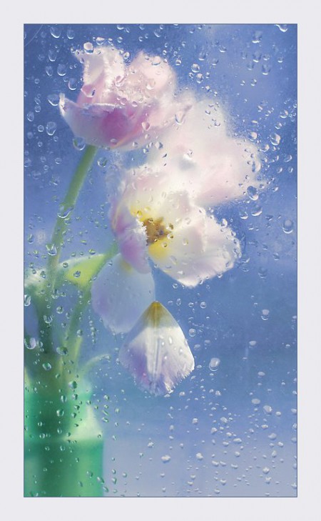 Я так счастлива!