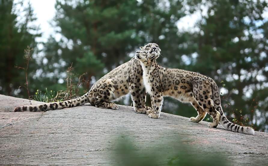 Ну, вот и свиделись!