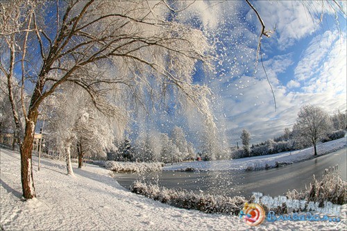 Ну приезжай!