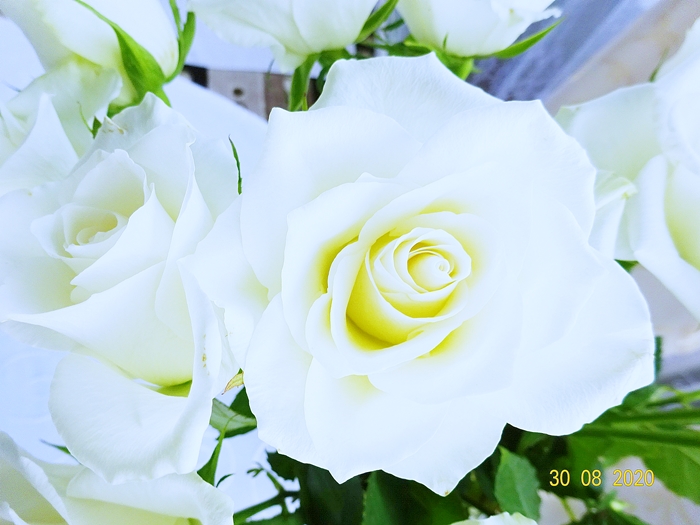 Берегите себя