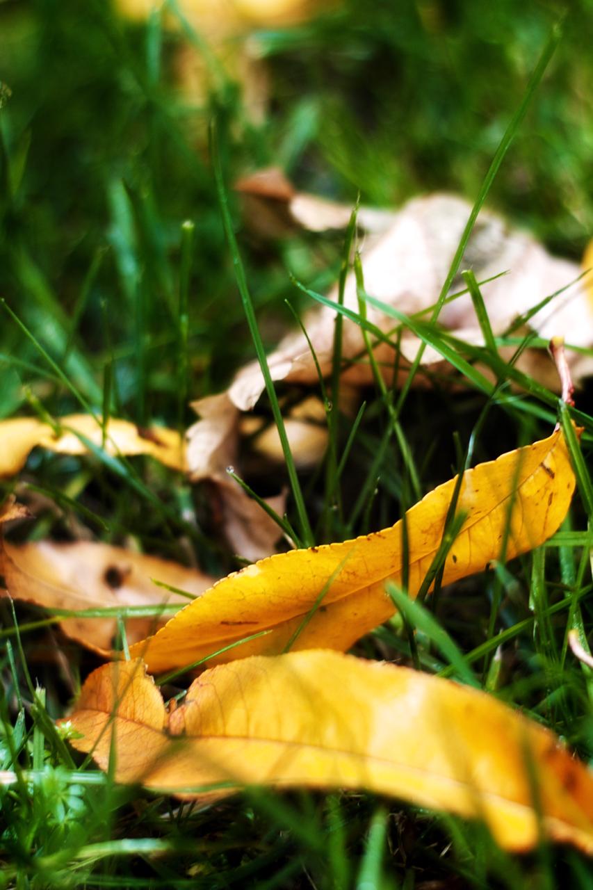 Бросай стихи!