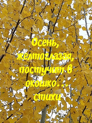 Осень желтоглазая, постучит в окошко...