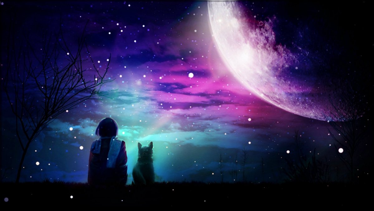 Без названия