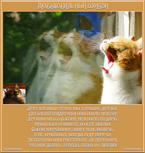 Любвеобильный Шмузи