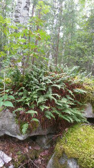 С осенью вдвоем