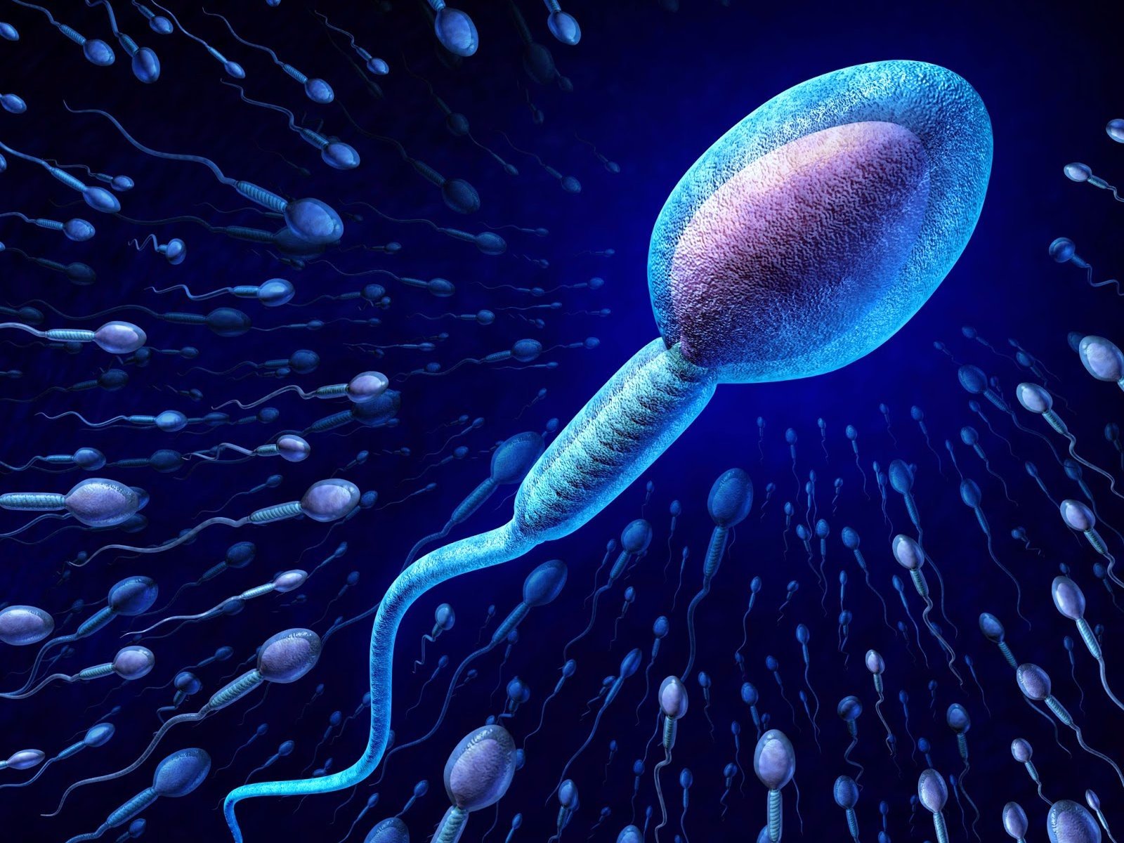 роль спермы в организме фото 8