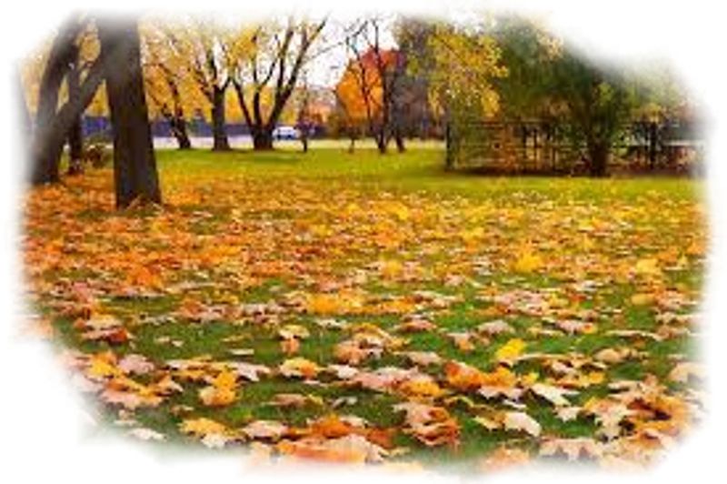 Вальс осенний звучит...