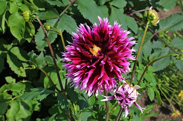 Уходим в осень...