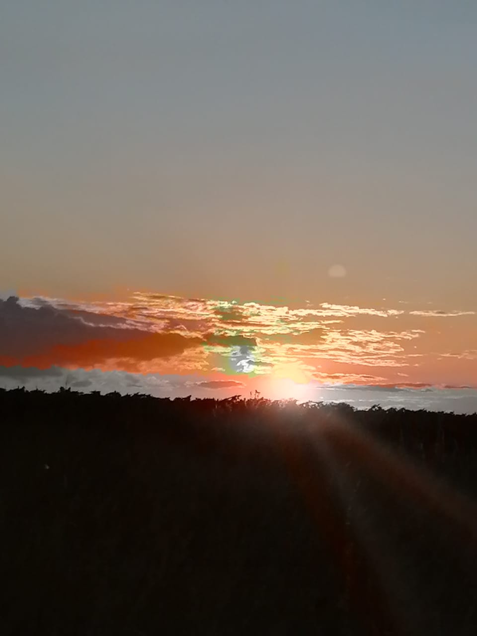 Ночи лунные