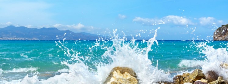 Океан жизни