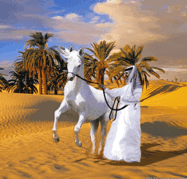 В чём силы суть