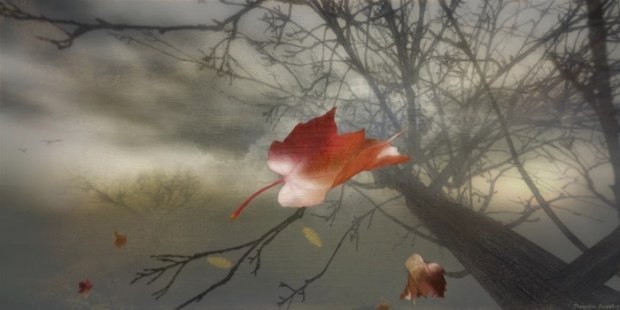 А листья все летят, летят...