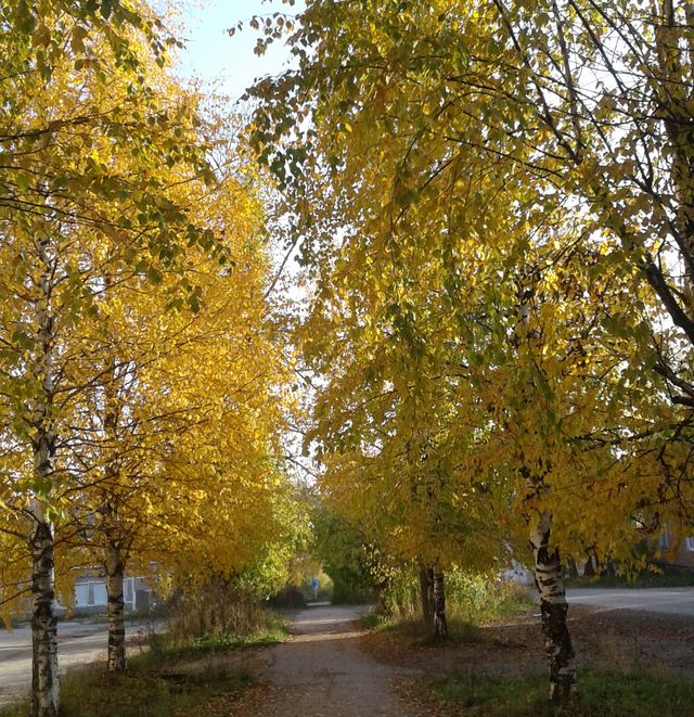 Жизнь крамольная