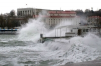 Солидарность