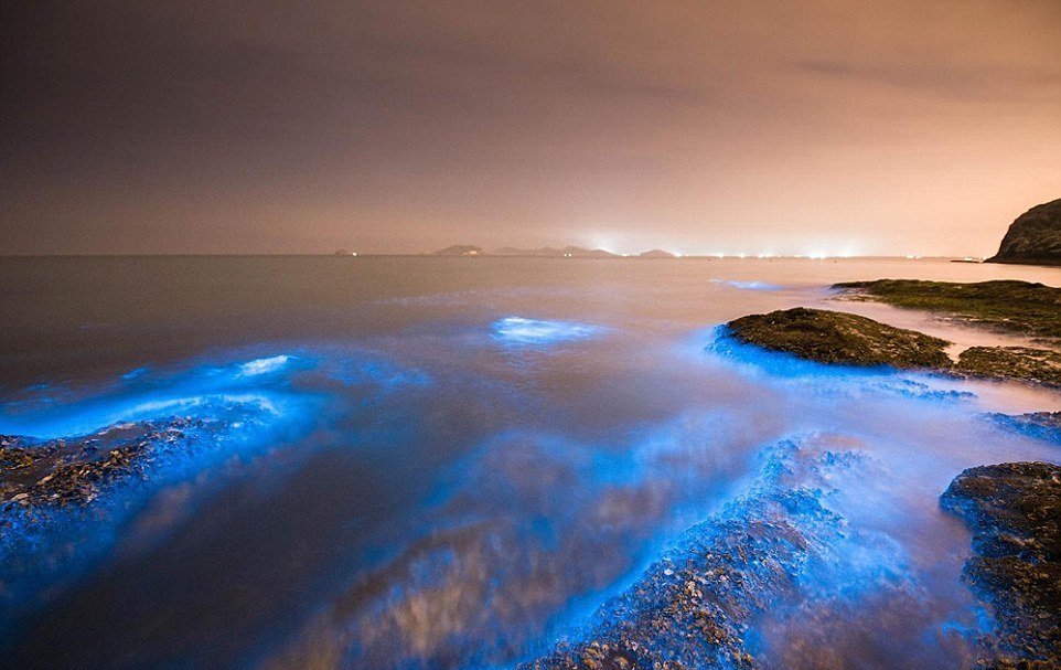 Море молочное