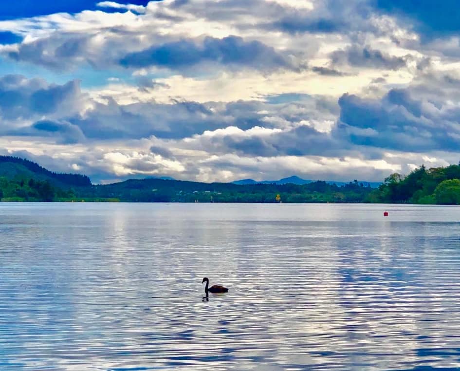 Озеро (Любовь Голейчук Коэн) / Стихи.ру