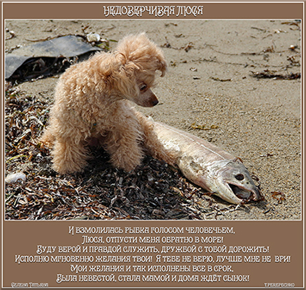 Недоверчивая Люся