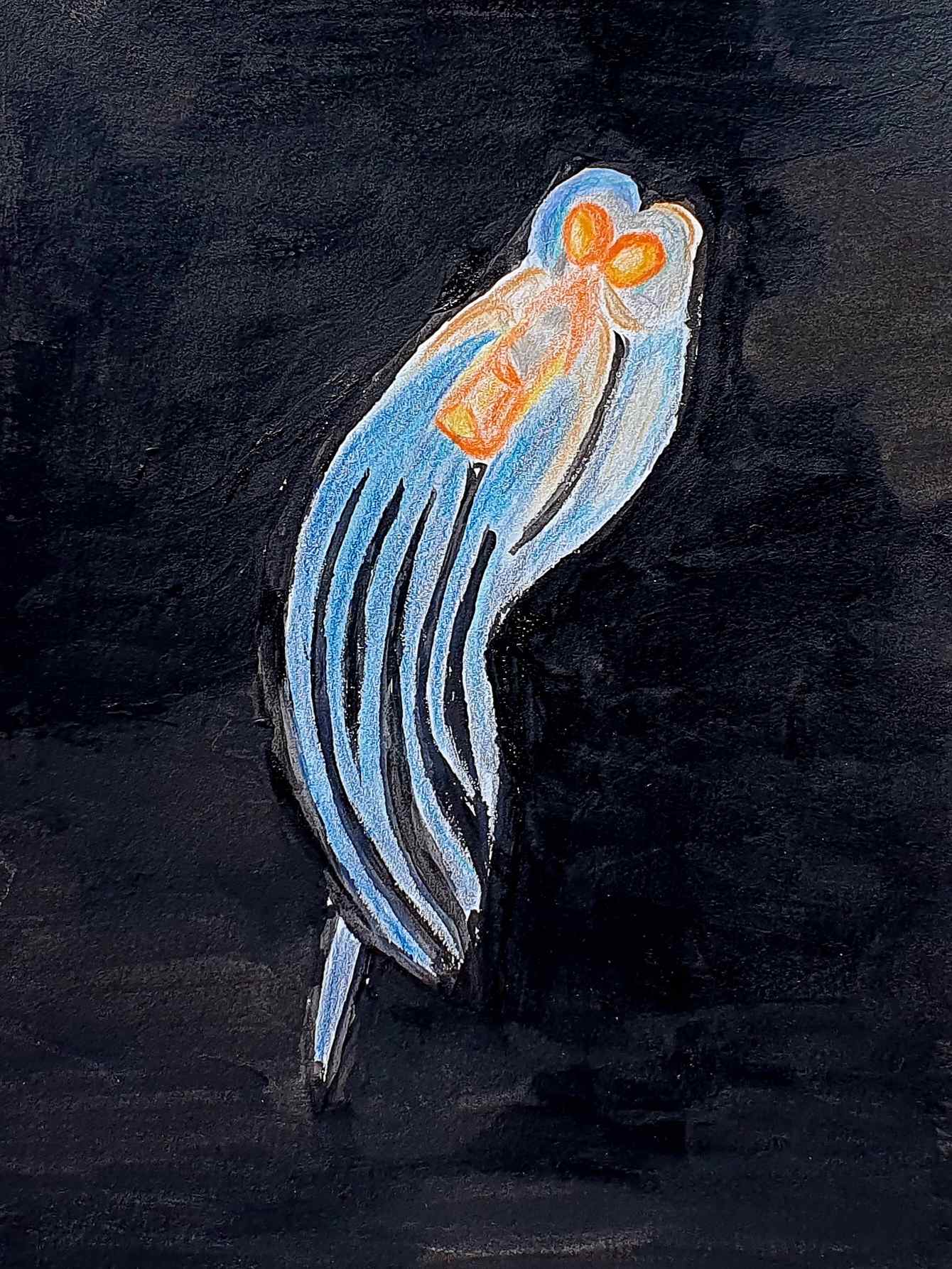 Моллюск - морской ангел