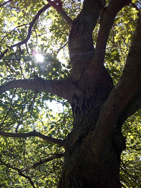 Квантовый переход