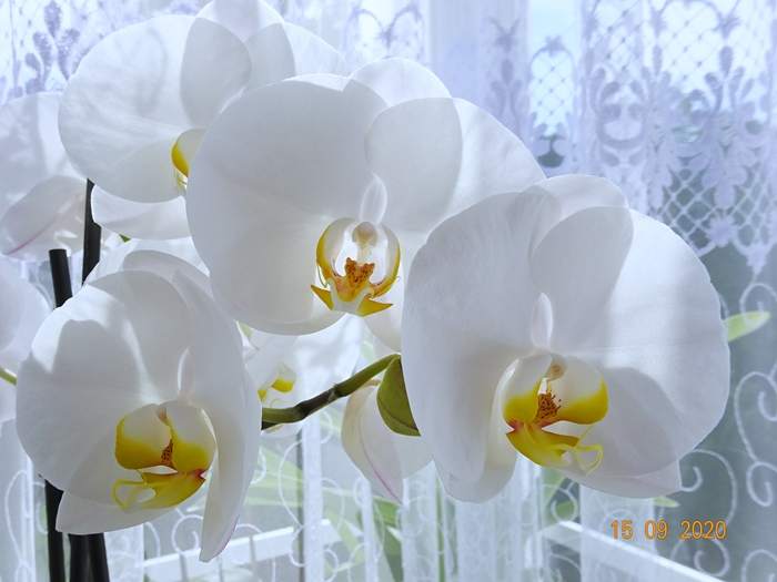 Символы, символы, символы