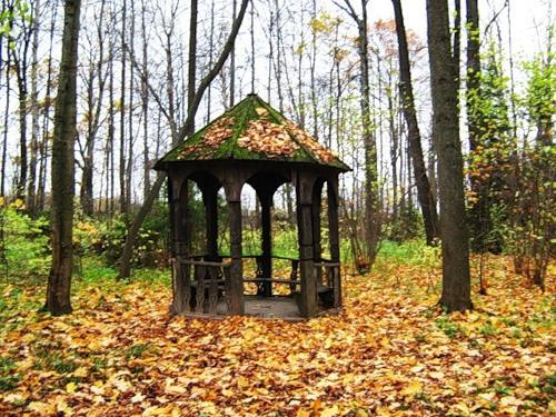 Осенняя меланхолия