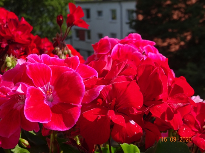 Уважая себя, не цинизничай