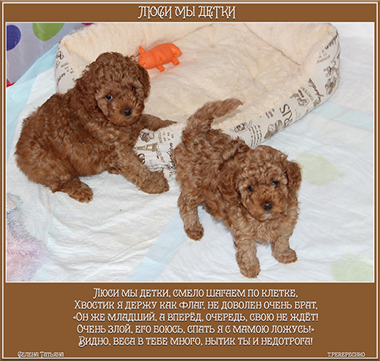 Люси мы детки