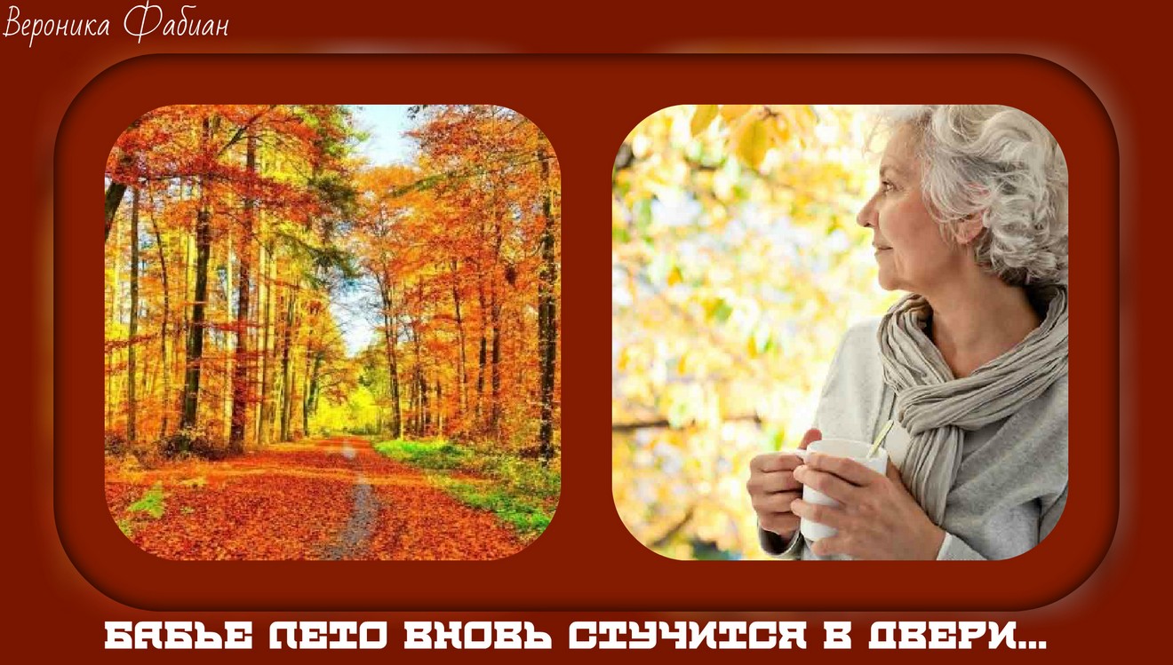 дождик осенний елена камбурова. фотосессия бабье лето. осень ты прекрасна. бабье лето вернись. смешные высказывания про осень.