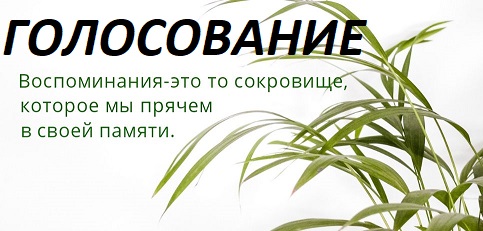 Волна воспоминаний - Голосование