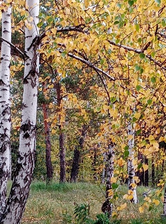 Не может радоваться человек один...