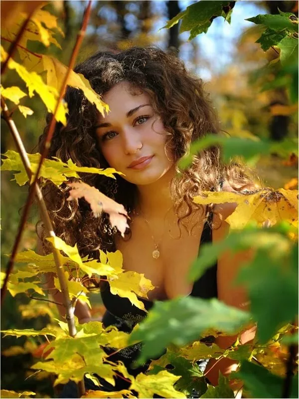 бабье лето картинки. картинки бабье лето с животными. степанченко бабье лето.